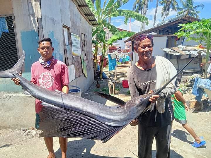 Mananagat sa Argao nakapasol og 30 kilos isdang malasugi