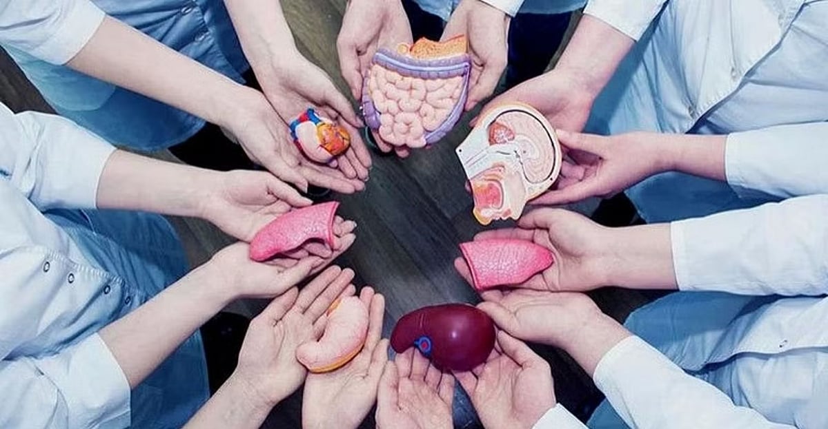 Davao Intensifies Organ Donation Drive: Key Facts on Saving Lives