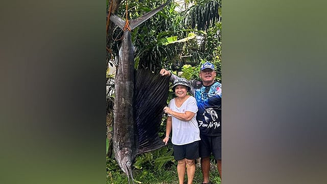 Giant Malasugi Fish Caught by Retired Navy Veteran in Argao, Philippines
