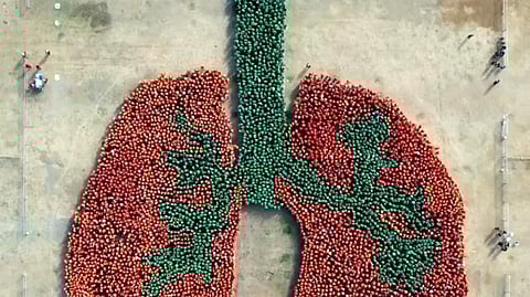 PH sets new Guinness World Record for largest human organ image