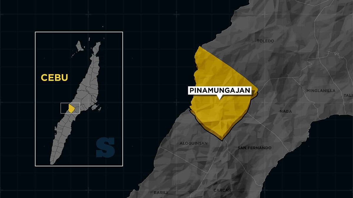 Public CR project in Pinamungajan divides Baricuatros