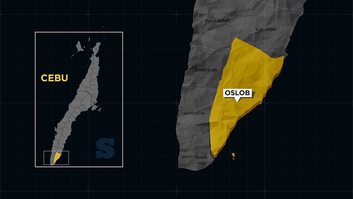 Barangay Councilor and Alleged Runner Arrested in Oslob Drug Bust