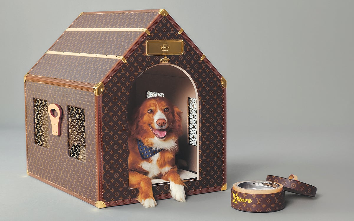 CCAWC proposes budget for animal 
welfare programs