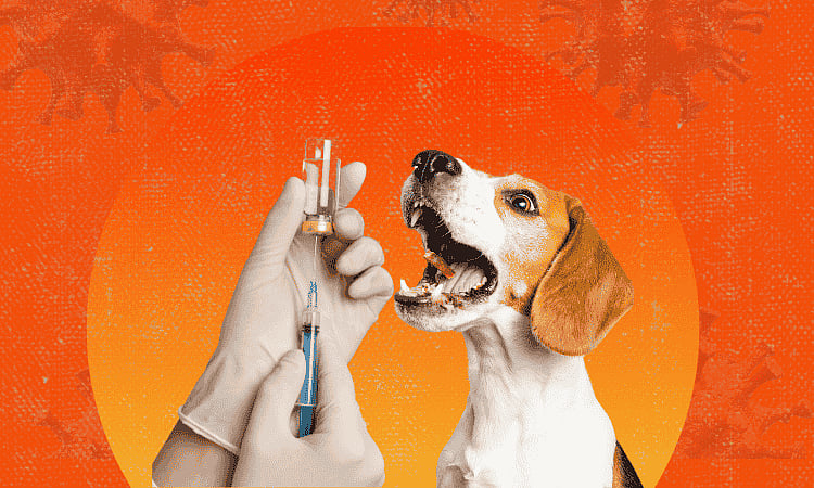 FDA eyes 'violative' anti-rabies vaccine in Aurora death