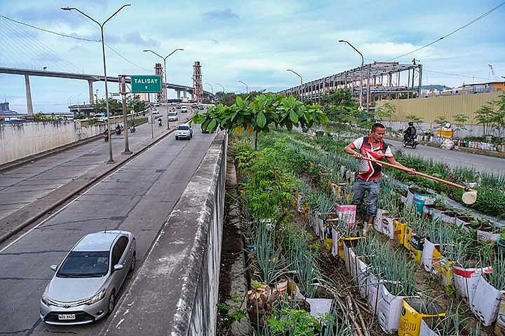 From pots to plates: How Cebu City is pushing food security