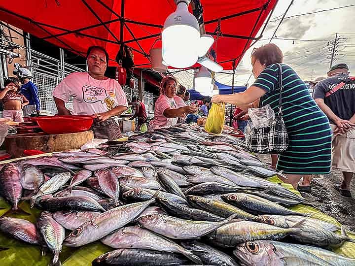 Movement vs. Carbon redevelopment launched