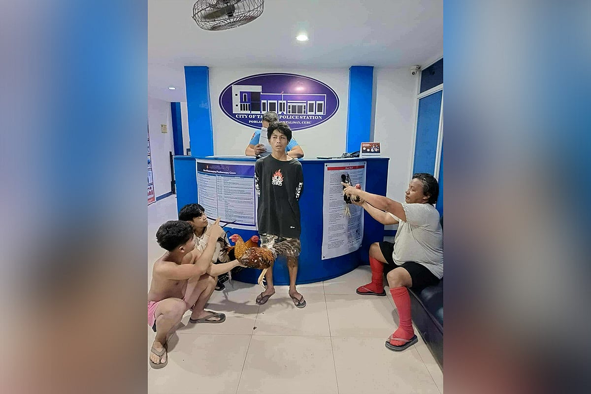 Nagbaguod sa pagdala 3 ka manok igtatari, sikop
