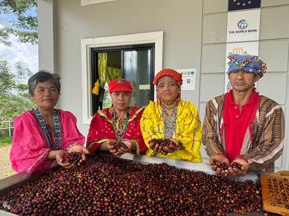 Brewing Life: The Indigenous Coffee Farmers of Barangay Tibolo