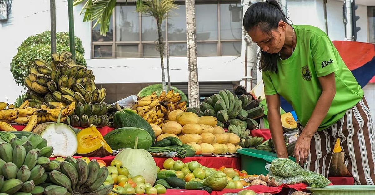 Energy Crisis and Climate Shocks Compound Struggles for Philippine Farmers and Fishers