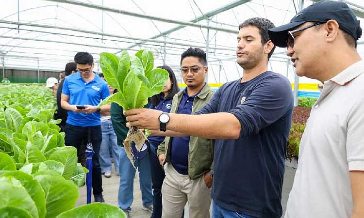 MPAV eyes greenhouse
farming at New Clark City