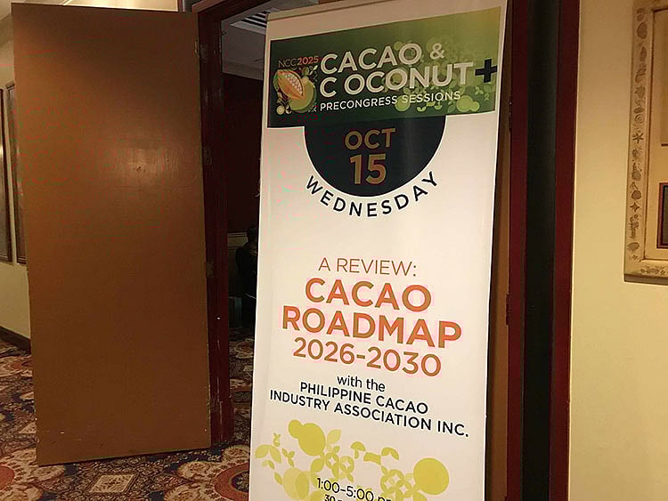 Cacao roadmap targets P1B investments, 52,500 hectares by 2030