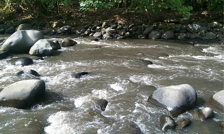 Davao's Tamugan River Under Threat: Investigation Demanded Over Alarming Pollution