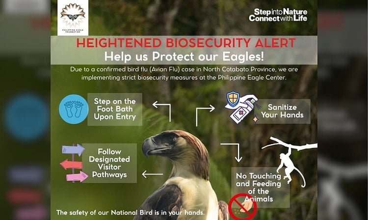 Bird Flu Alert: Pampenao Emergency Fund Heightens Biosecurity Near Cotabato