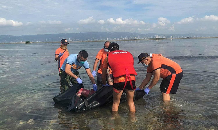 Decomposed Body Found Floating in Cordova Waters Sparks Police Investigation