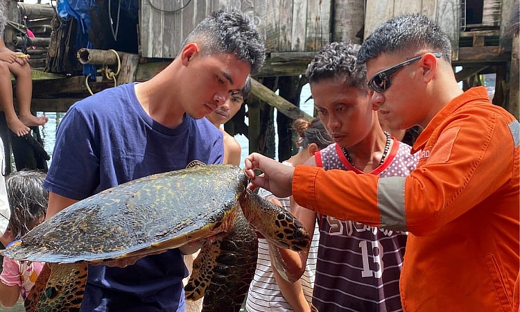 Juvenile Hawksbill Sea Turtle Rescued in Davao City Coastline Operation