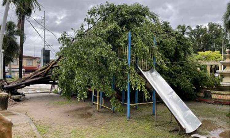 Super Typhoon Uwan Leaves 3M Homes Without Power in Luzon, Visayas