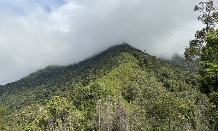 Sandunganan Peak: Davao Oriental's New Hiking Gem for Beginners