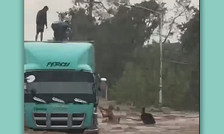 Wing Van Heroes Fired After Saving 6 Lives During Typhoon Tino