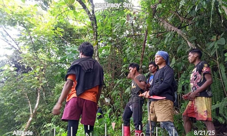 Mount Tambuyong: New Philippine Eagle Sanctuary Discovered in Davao de Oro