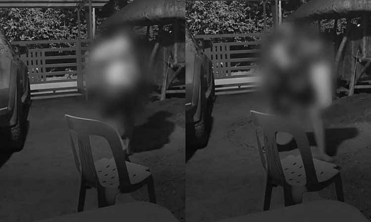Barangay Captain Shot Dead During Facebook Live in Digos City