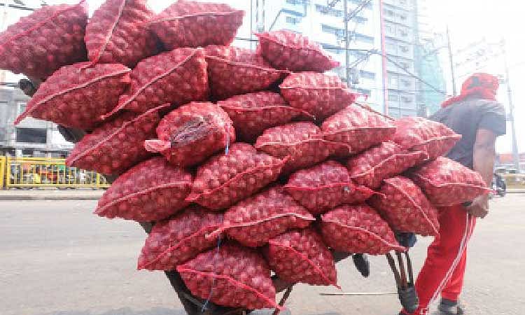 DA Demands Explanation for Slow Red Onion Imports as Prices Soar