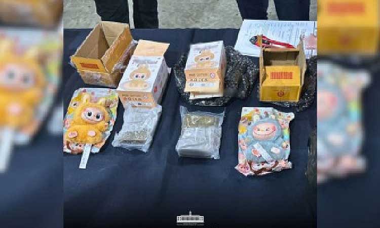 PHP807K Marijuana Kush Seized at Clark Port in Keychain Parcel