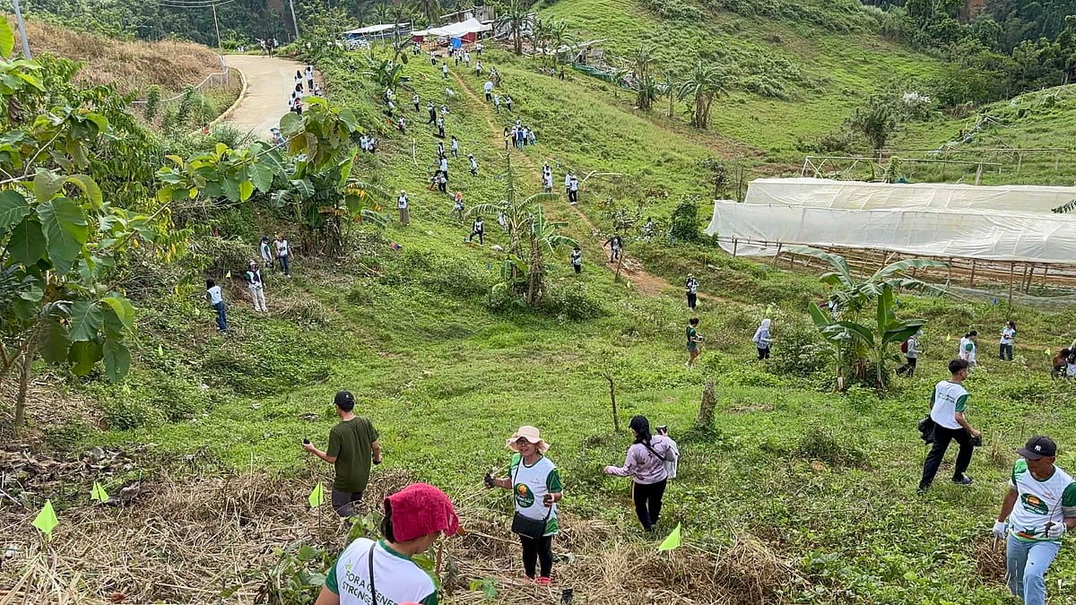 1,500 ka mga punoan gitanom sa Brgy. Lusaran, Cebu City