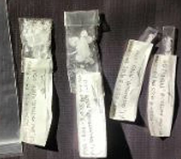 P170K Worth of Shabu Seized, 2 Suspects Nabbed in Lanao Provinces