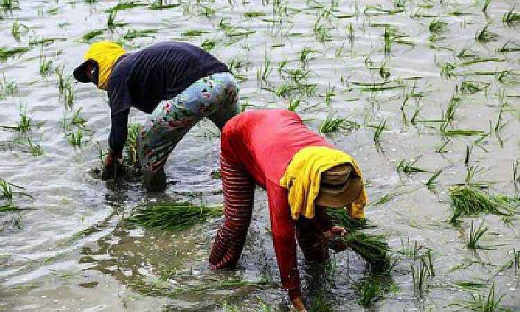 Pangilinan Pushes for Structural Reforms to Empower Farmers and Fishers