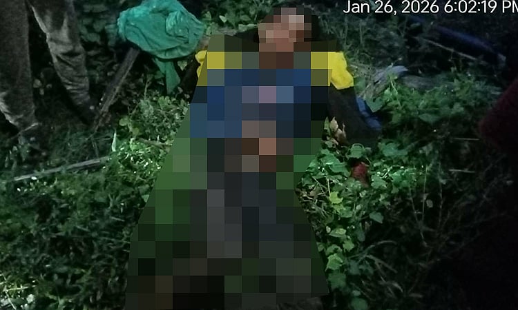Chainsaw Operator Killed by Falling Branch in Oslob Tree-Cutting Accident