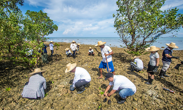 Cebu Businesses Shift CSR Strategy from Relief to Resilience After Disasters