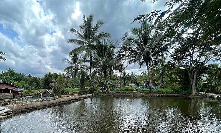 DSWD-Davao Evaluates Climate Resilience Projects Lawa and Binhi in Davao de Oro