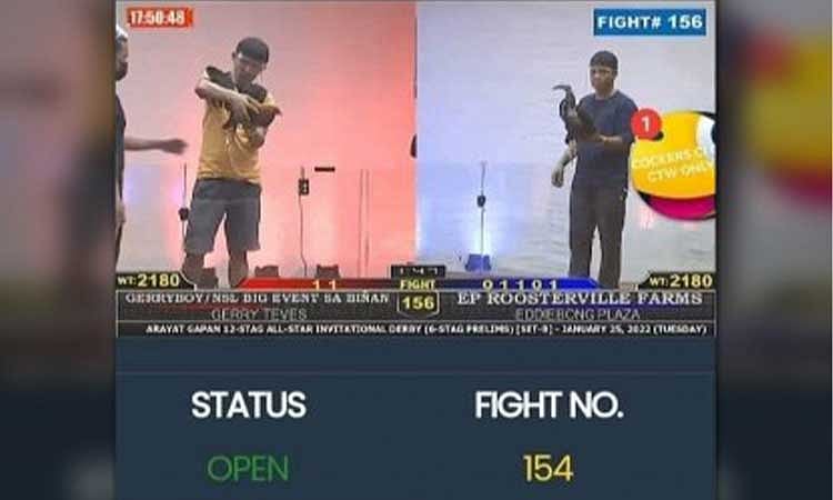 Senators want e-sabong hubs raided, kingpins charged