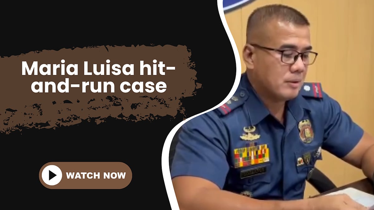 Maria Luisa hit-and-run case