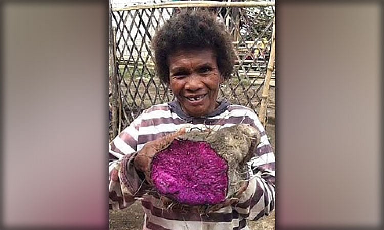Global Ube Boom: Philippines Exports Hit $3.06M as Demand Surges Worldwide