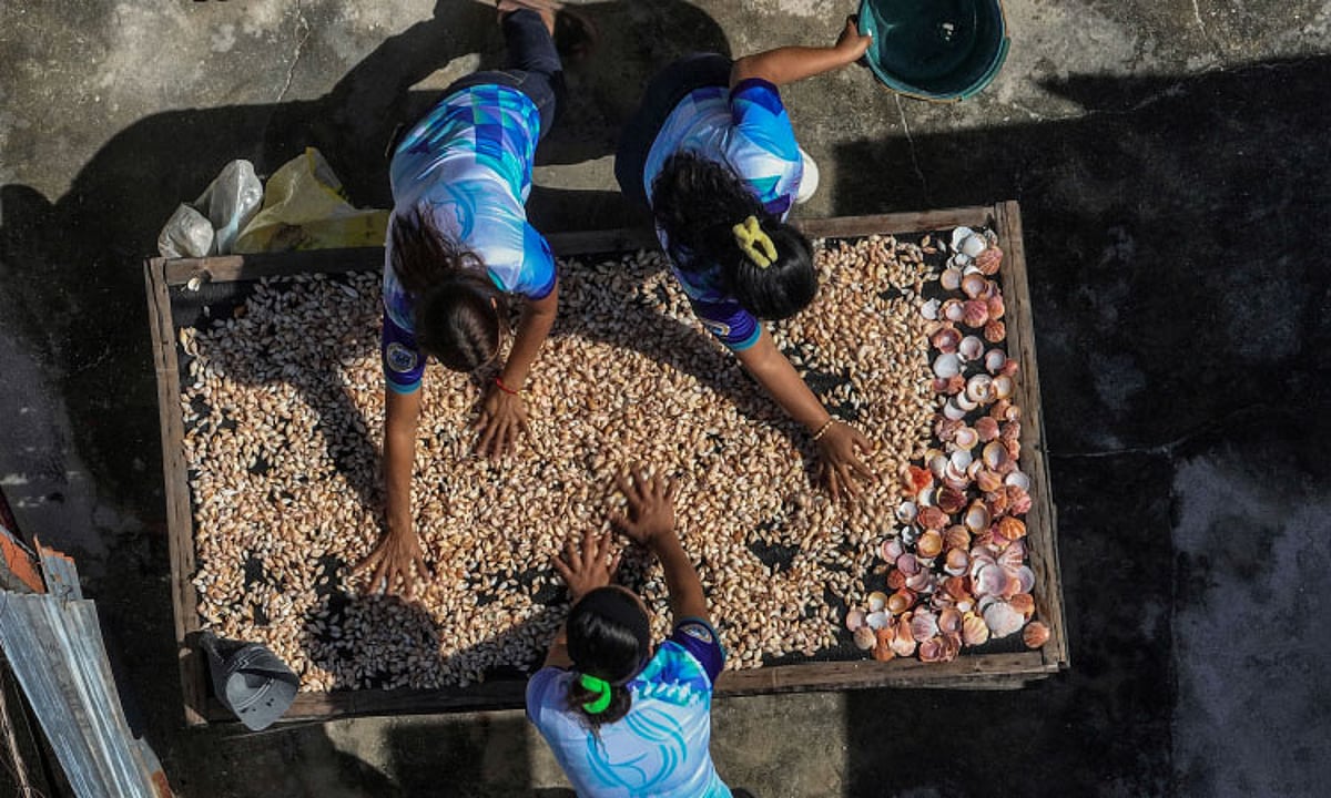 Sihig Shell Transforming Seashells into Art on Olanggo Island
