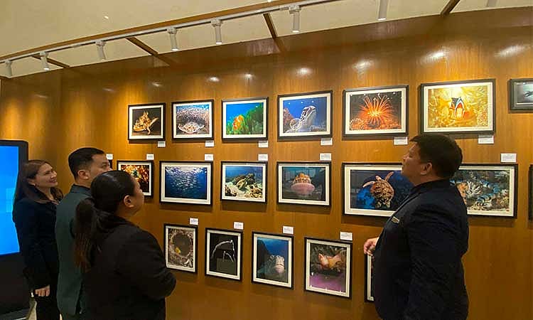 Hilton Clark chef dives into underwater photography