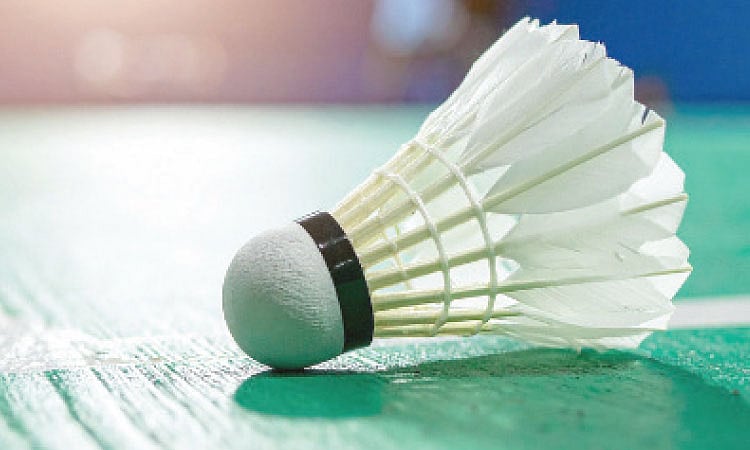 Synthetic shuttlecocks introduced as bird flu impacts feather supply chain