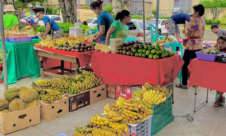 Davao City Councilor Refines Health Food Ordinances to Boost Nutritional Transparency