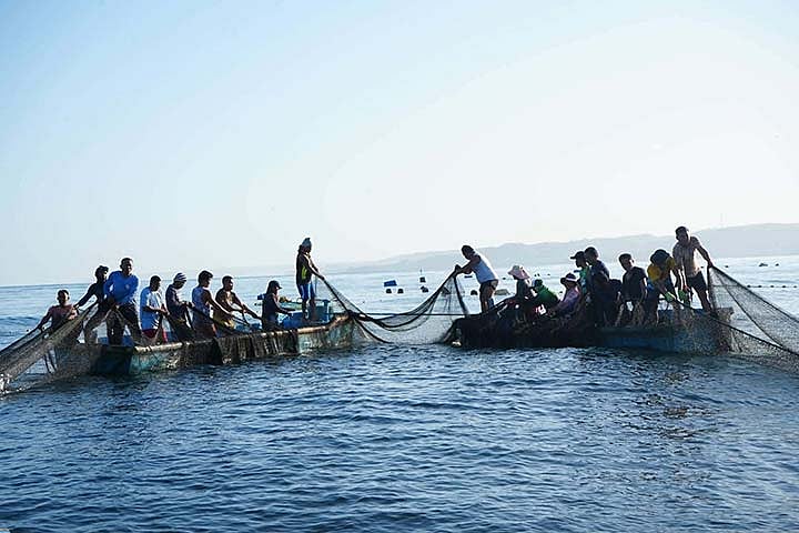 Cebu fishing feeds homes, not markets