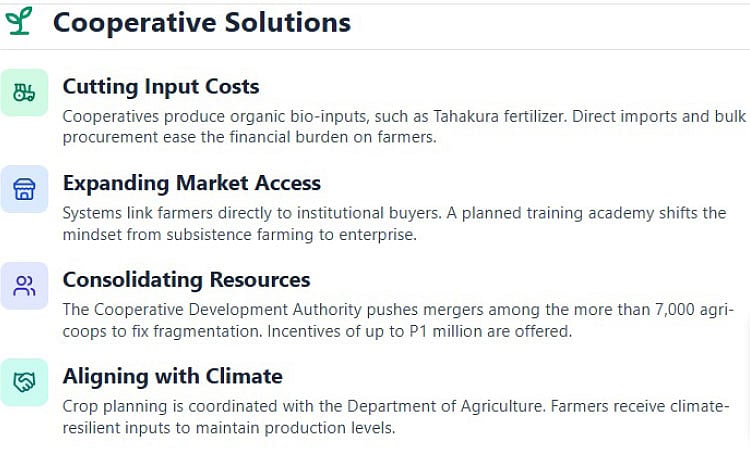 ‘Shield small farmers from economic, climate shocks’