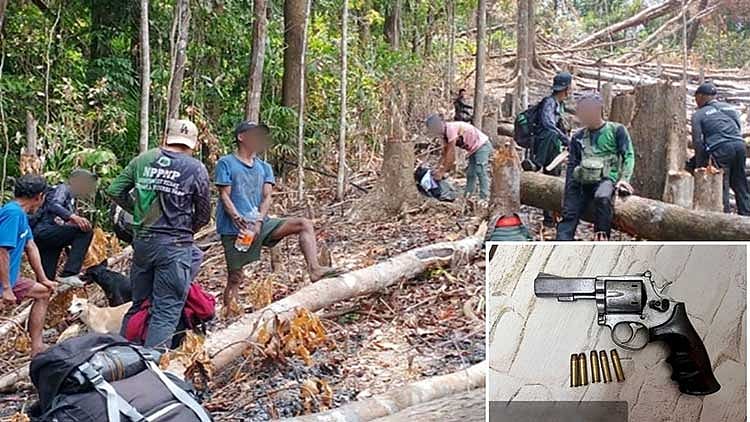 2 arrested in Antique anti-illegal logging operation