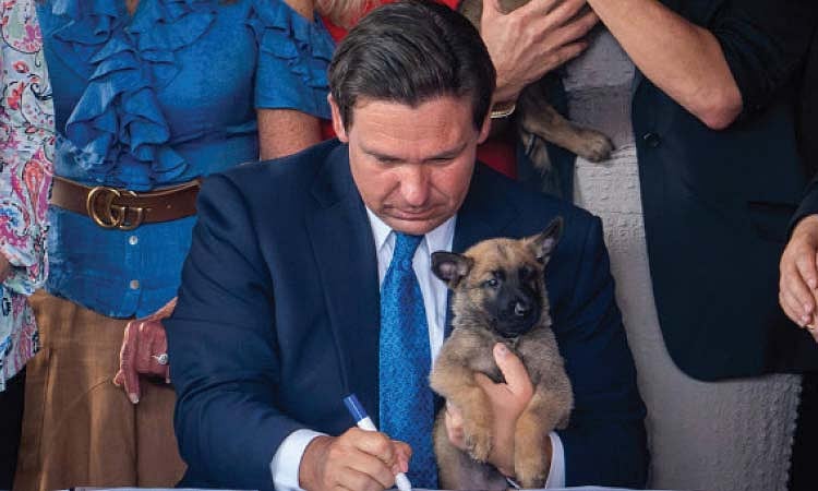 Florida passes ‘Dexter’s Law,’ bans animal abusers from owning pets