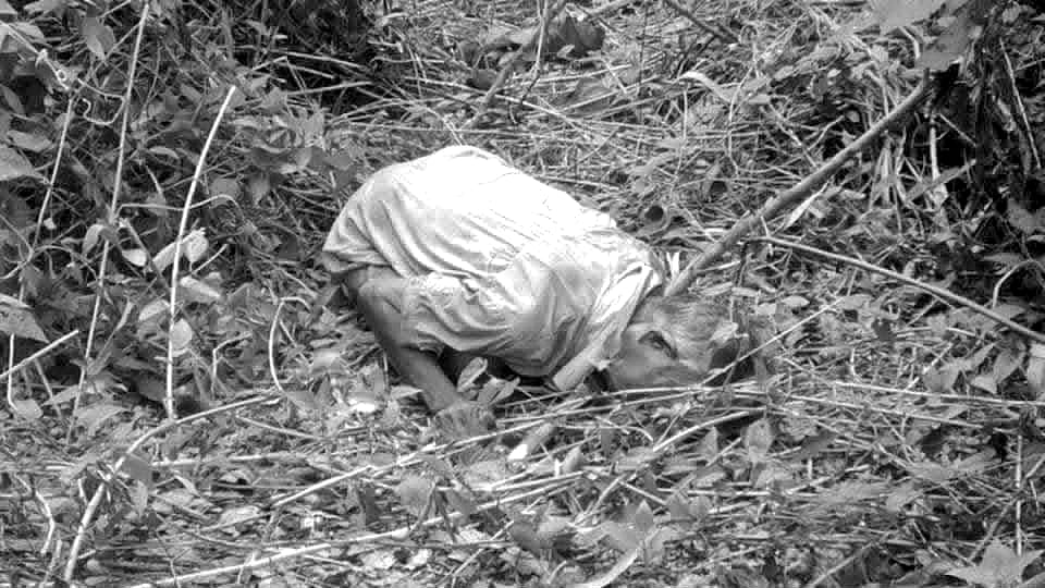 Elderly Farmer Found Dead in Ronda; Wife in Accident