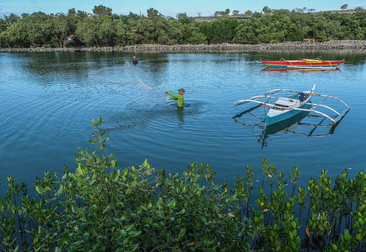 Trash to life: Inayawan mangroves