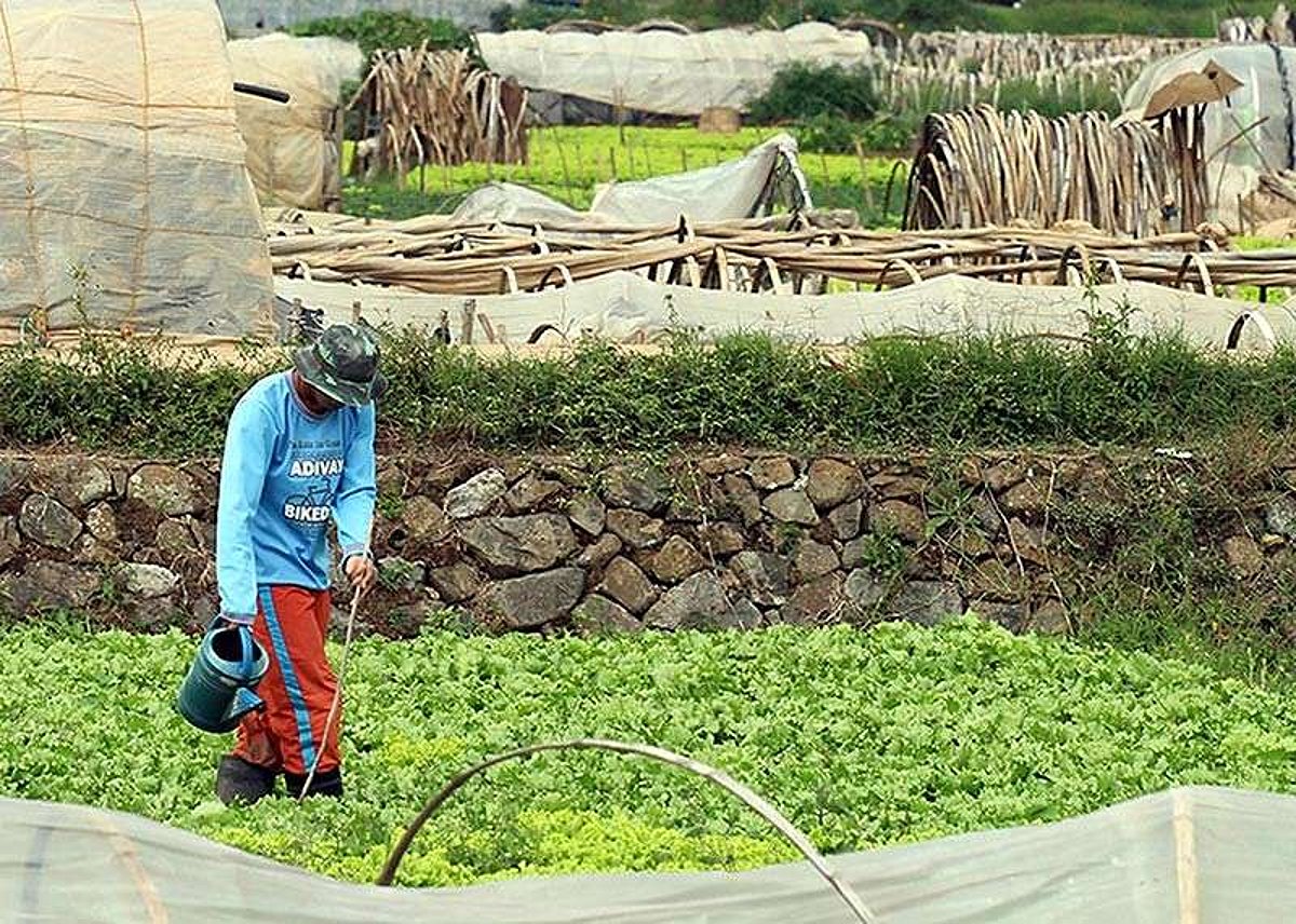Farmer's daily routine