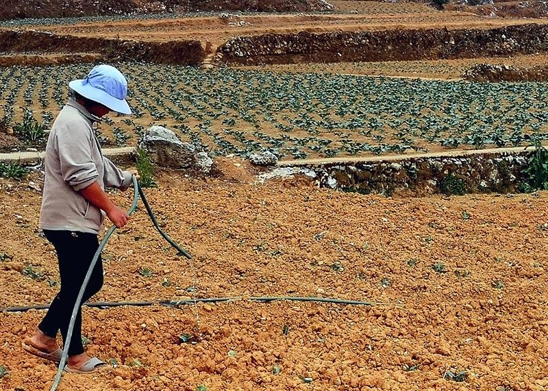 Gov't urged to tap P30-B RCEF funds to shield farmers from El Niño, rising fuel costs