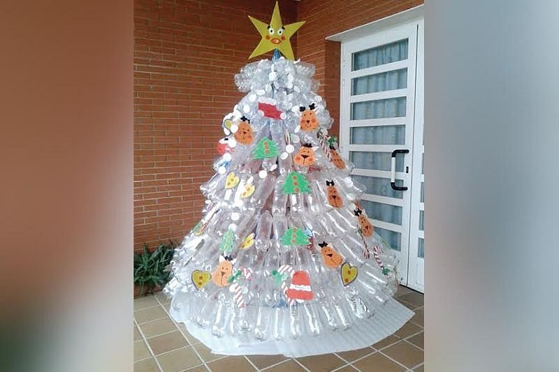 Types of Christmas trees which one do you have at home?