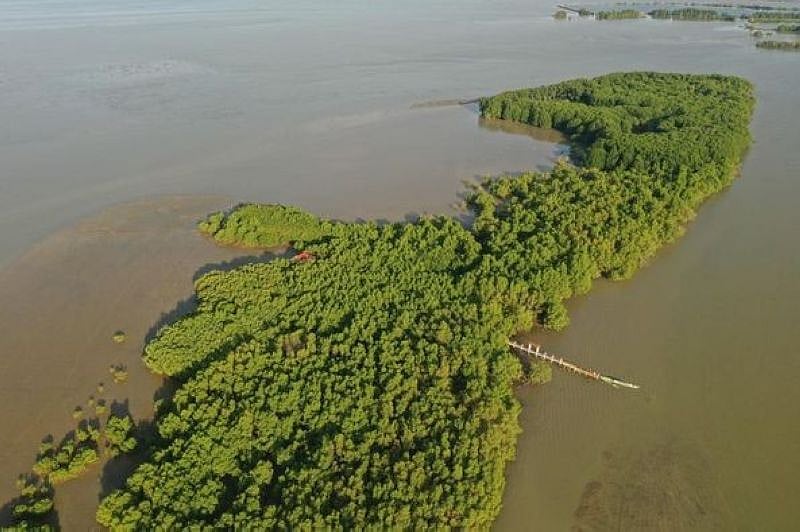 Sasmuan's coastal wetland gets Ramsar site designation