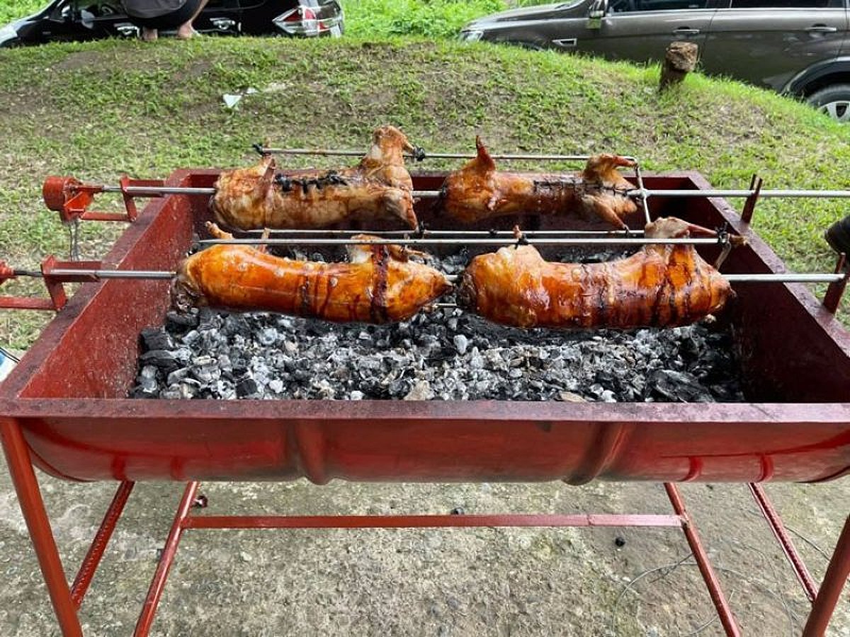 'Rabbit revolution' launched